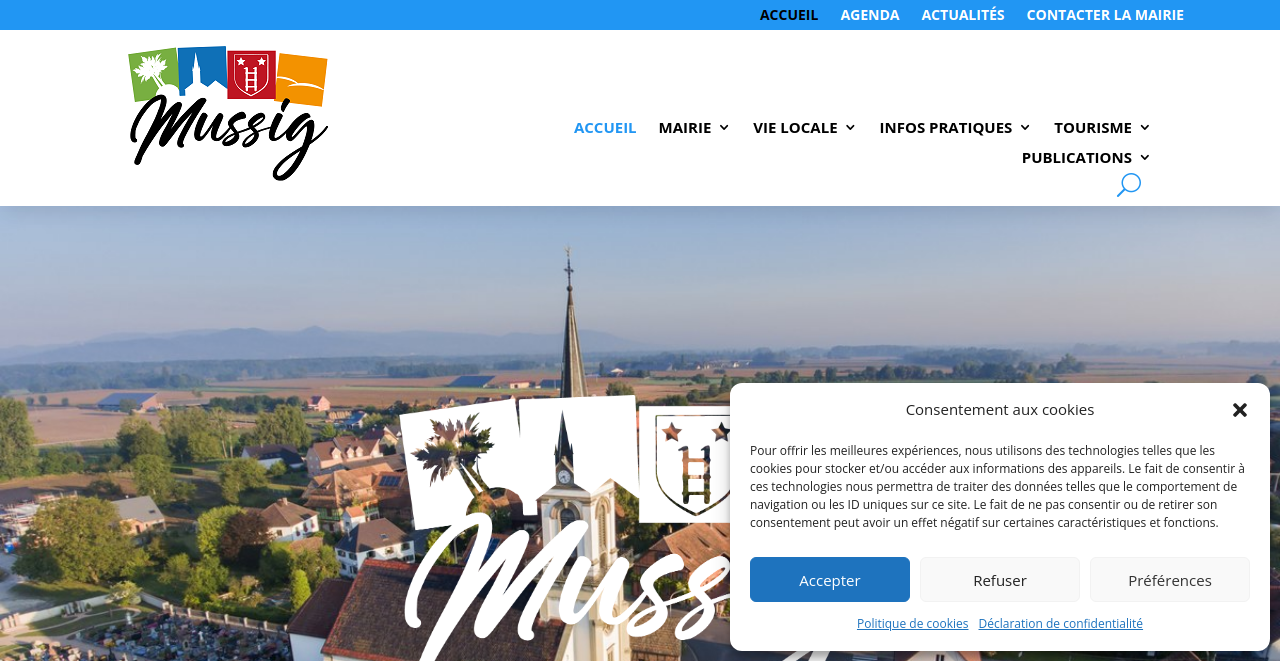 Mussig